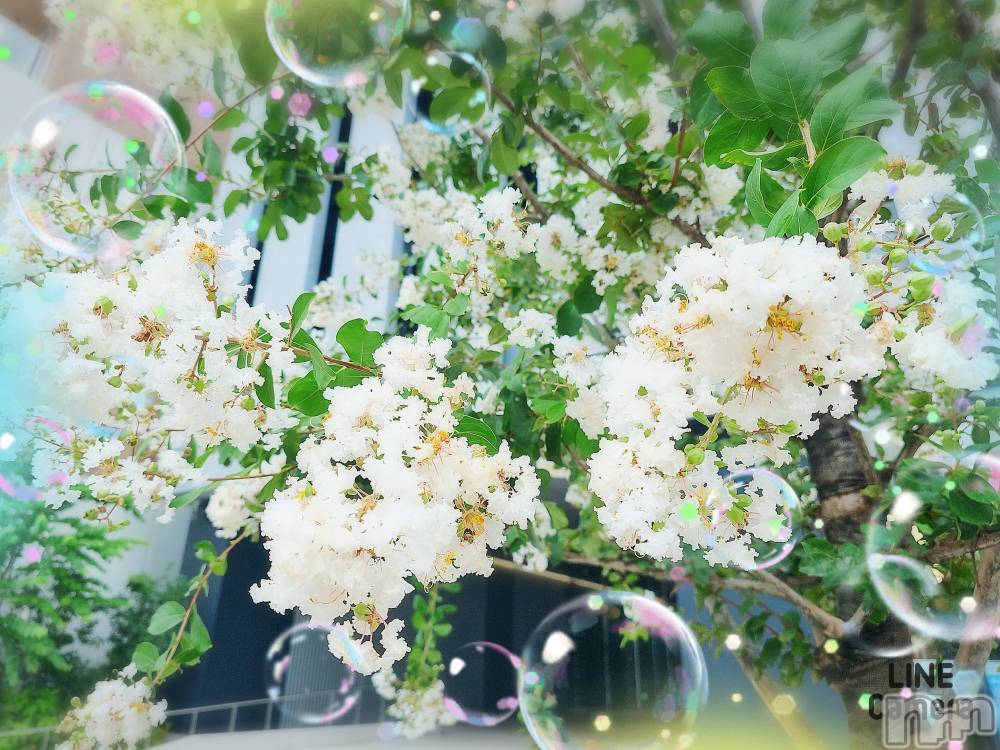 長岡デリヘル人妻楼　長岡店(ヒトヅマロウ　ナガオカテン) れん(36)の8月16日写メブログ「台風🌀」