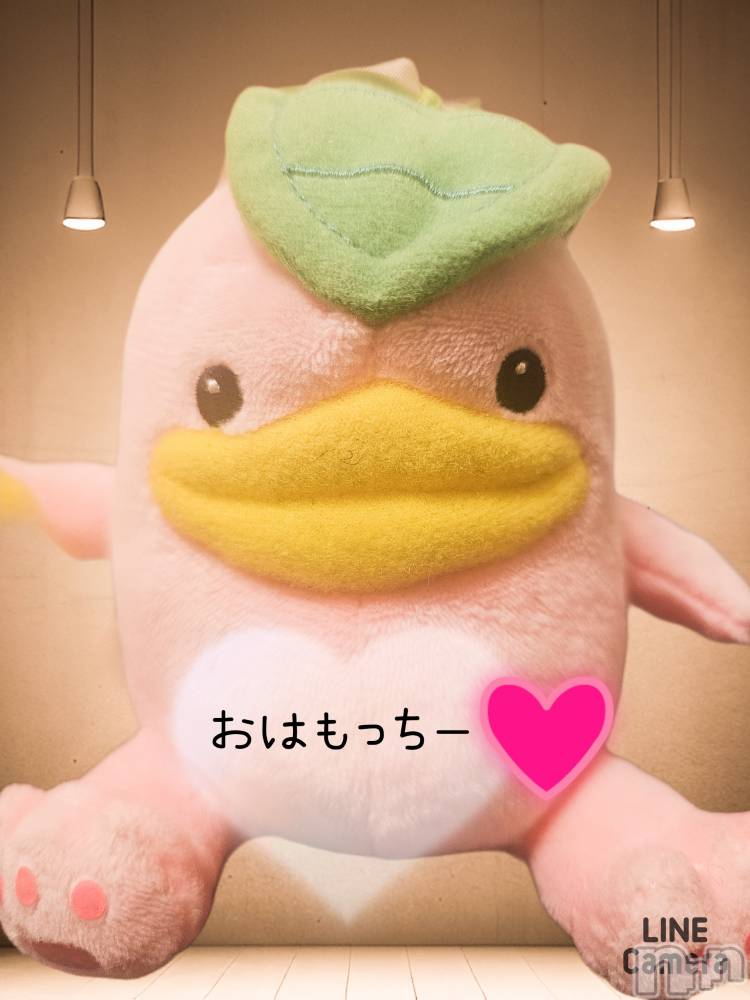 長岡デリヘル人妻楼　長岡店(ヒトヅマロウ　ナガオカテン) れん(36)の3月13日写メブログ「おはようございます❤️」