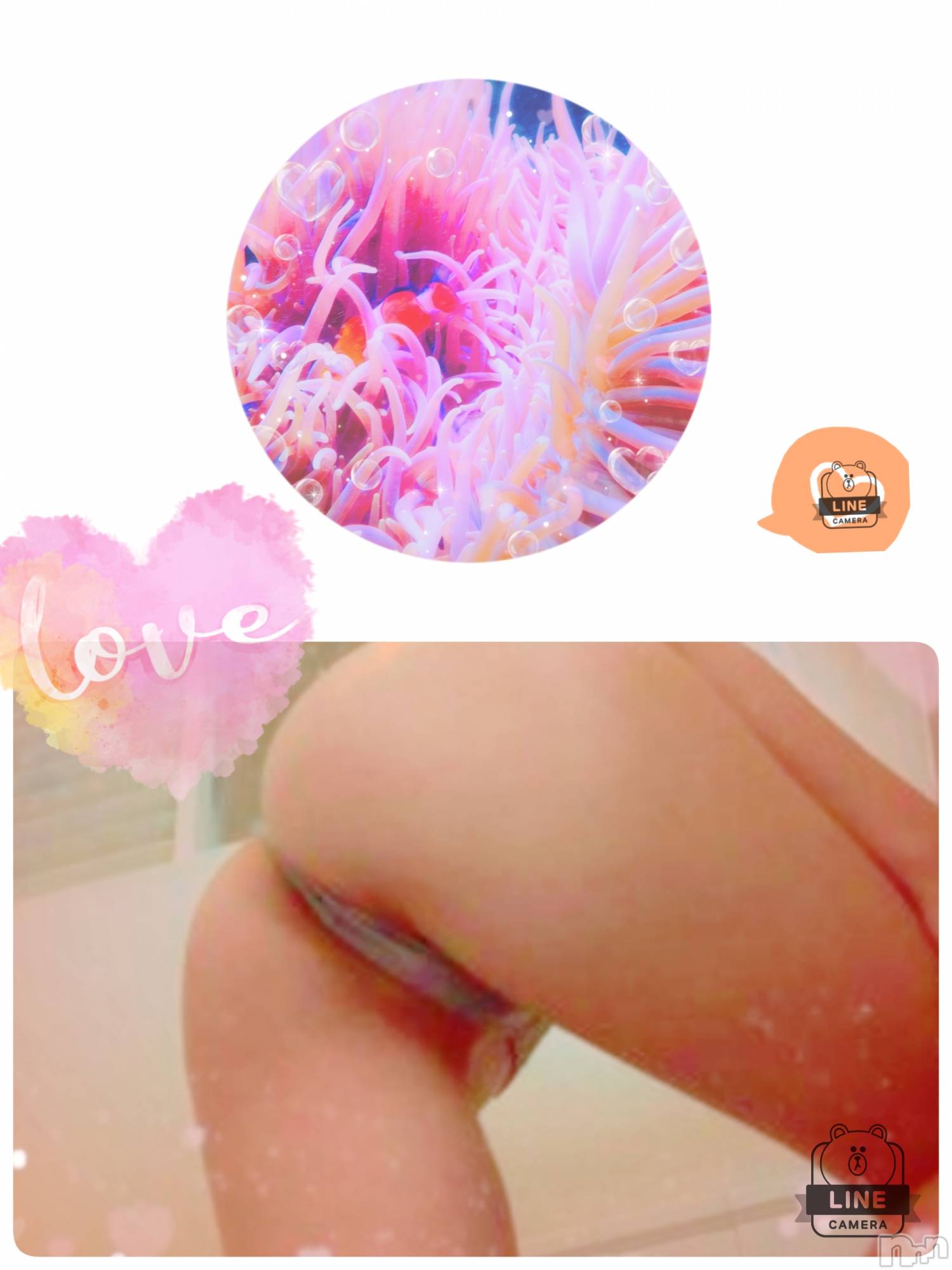 長岡デリヘル人妻楼　長岡店(ヒトヅマロウ　ナガオカテン)れん(36)の2021年3月12日写メブログ「磯巾着なわたし❤️」