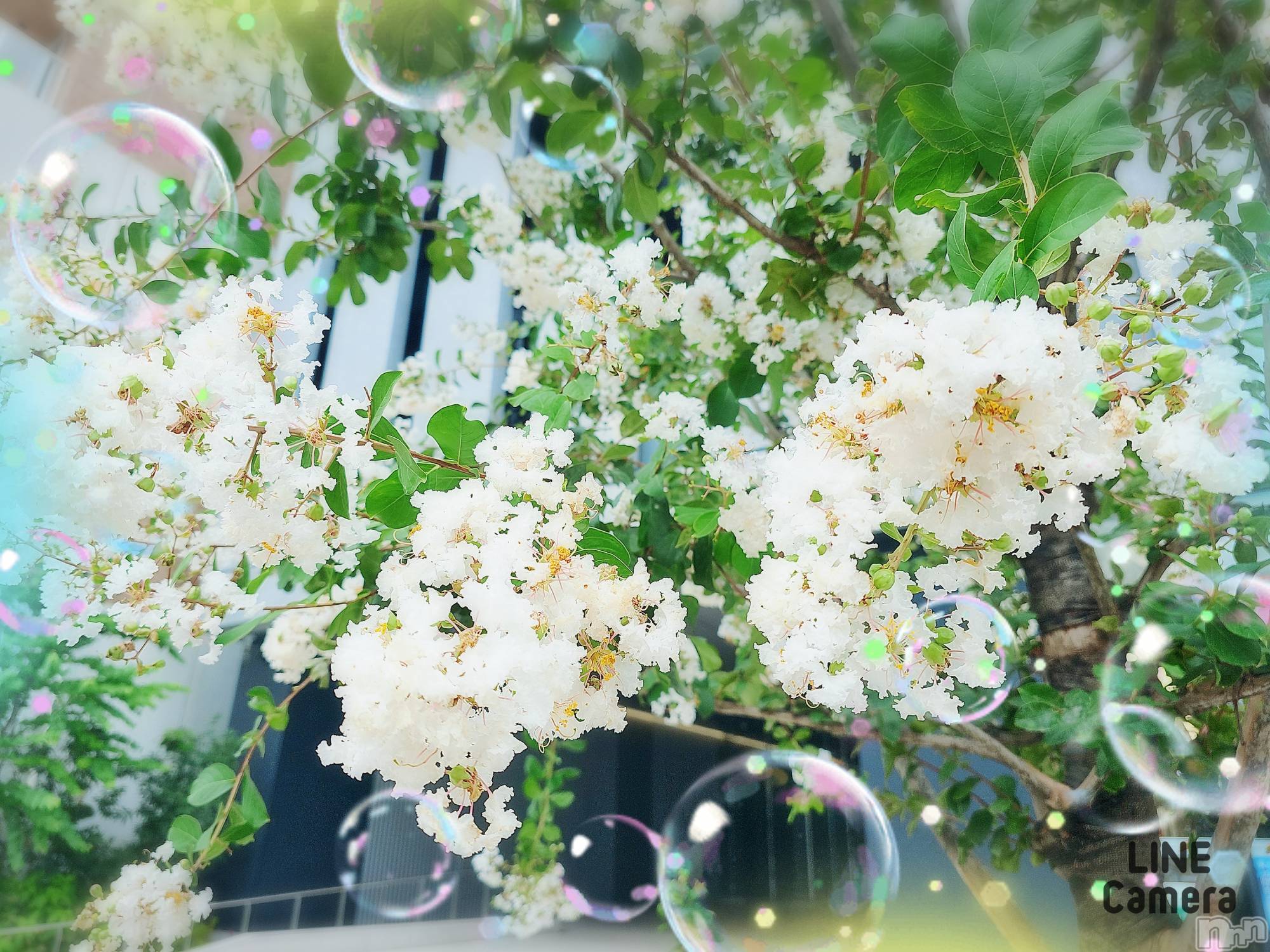 長岡デリヘル人妻楼　長岡店(ヒトヅマロウ　ナガオカテン)れん(36)の2024年8月16日写メブログ「台風🌀」