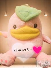 長岡デリヘル人妻楼　長岡店(ヒトヅマロウ　ナガオカテン) れん(36)の3月13日写メブログ「おはようございます❤️」