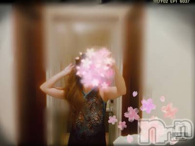 長岡デリヘル 人妻楼　長岡店(ヒトヅマロウ　ナガオカテン) れん(36)の12月4日写メブログ「大好きな女優」