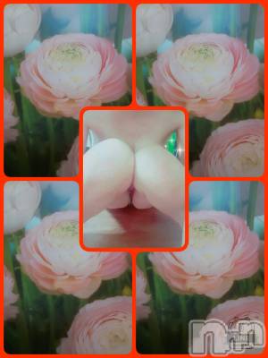 長岡デリヘル 人妻楼　長岡店(ヒトヅマロウ　ナガオカテン) れん(36)の7月5日写メブログ「ありがとうございます♪」