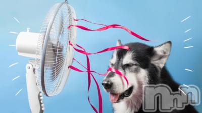 長岡デリヘル 人妻楼　長岡店(ヒトヅマロウ　ナガオカテン) れん(36)の8月12日写メブログ「暑中見舞申し上げます。」