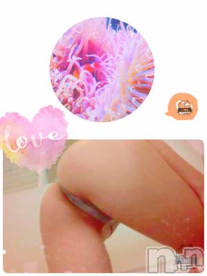 長岡デリヘル 人妻楼　長岡店(ヒトヅマロウ　ナガオカテン) れん(36)の3月12日写メブログ「磯巾着なわたし❤️」