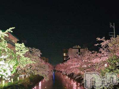 長岡デリヘル 人妻楼　長岡店(ヒトヅマロウ　ナガオカテン) れん(36)の4月14日写メブログ「夜桜🌸満開🌸」