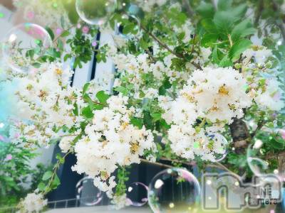 長岡デリヘル 人妻楼　長岡店(ヒトヅマロウ　ナガオカテン) れん(36)の8月16日写メブログ「台風🌀」