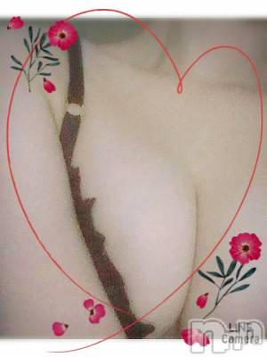 長岡デリヘル 人妻楼　長岡店(ヒトヅマロウ　ナガオカテン) れん(36)の5月8日写メブログ「T様ありがとうございます❤️」