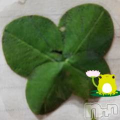 上田発デリヘル人妻華道 上田店(ヒトヅマハナミチウエダテン) 【熟女】なつみ (50)の5月30日写メブログ「こんにちは(^-^)」