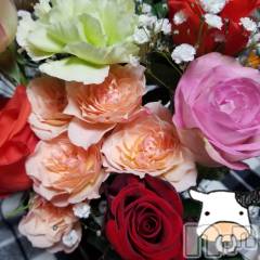 上田発デリヘル人妻華道 上田店(ヒトヅマハナミチウエダテン) 【熟女】なつみ (50)の1月30日写メブログ「こんにちは(^-^)」