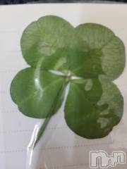 上田発デリヘル人妻華道 上田店(ヒトヅマハナミチウエダテン) 【熟女】なつみ (50)の4月23日写メブログ「こんにちわ(^○^)」