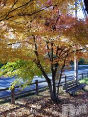 上田発デリヘル人妻華道 上田店(ヒトヅマハナミチウエダテン) 【熟女】なつみ (50)の11月19日写メブログ「こんにちわ(^-^)」