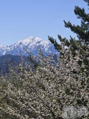 上田発デリヘル人妻華道 上田店(ヒトヅマハナミチウエダテン) 【熟女】なつみ (50)の4月25日写メブログ「こんにちは(^-^)」