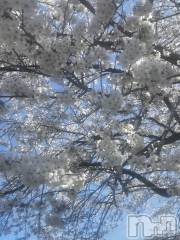 上田発デリヘル人妻華道 上田店(ヒトヅマハナミチウエダテン) 【熟女】なつみ (50)の4月6日写メブログ「こんにちは(^-^)」