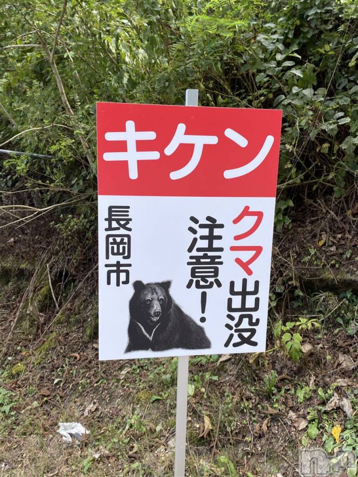 長岡デリヘル(ナガオカフウゾクシュッチョウアロママッサージ)の2021年9月15日お店速報「え？アオーレ前で熊出没？！ヽ(；▽；)」