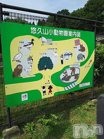 長岡デリヘル(ナガオカフウゾクシュッチョウアロママッサージ)の2021年9月19日お店速報「長岡の唯一の...♪本日もよろしくお願い申し上げます」