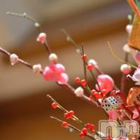 長岡デリヘル 長岡風俗出張アロママッサージ(ナガオカフウゾクシュッチョウアロママッサージ)の1月3日お店速報「ちょっとだけよー^ ^貴方を癒すアロママッサージ」