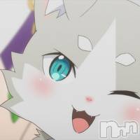 長岡デリヘル 長岡風俗出張アロママッサージ(ナガオカフウゾクシュッチョウアロママッサージ)の2月2日お店速報「2月2日のどきどきにゃんにゃん(^^)エステ」