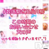 長岡デリヘル 長岡風俗出張アロママッサージ(ナガオカフウゾクシュッチョウアロママッサージ)の4月8日お店速報「今の時期のお問い合わせの有り難さたるや(T . T)有難うございます☆」