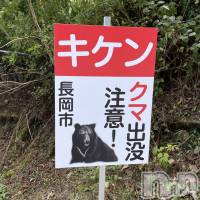 長岡デリヘル 長岡風俗出張アロママッサージ(ナガオカフウゾクシュッチョウアロママッサージ)の9月15日お店速報「え？アオーレ前で熊出没？！ヽ(；▽；)」