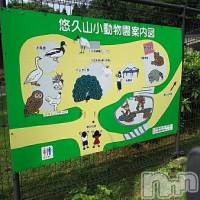 長岡デリヘル 長岡風俗出張アロママッサージ(ナガオカフウゾクシュッチョウアロママッサージ)の9月19日お店速報「長岡の唯一の...♪本日もよろしくお願い申し上げます」