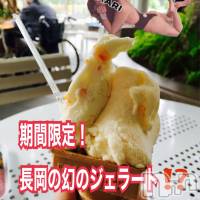 長岡デリヘル 長岡風俗出張アロママッサージ(ナガオカフウゾクシュッチョウアロママッサージ)の10月19日お店速報「幻の味‼️みんながまだ知らない未知な味」