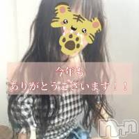 長岡デリヘル 長岡風俗出張アロママッサージ(ナガオカフウゾクシュッチョウアロママッサージ)の12月29日お店速報「猫人気がやばひ✨大好きらてさん！」