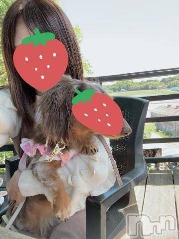 新潟デリヘルSecret Love(シークレットラブ) あいの☆美人若妻(27)の5月23日写メブログ「本能の如く(/ω＼)💗」