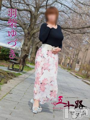 羽柴ゆづき(51) 身長154cm、スリーサイズB92(F).W69.H91。新潟人妻デリヘル 五十路マダム新潟店(カサブランカグループ)(イソジマダムニイガタテン)在籍。