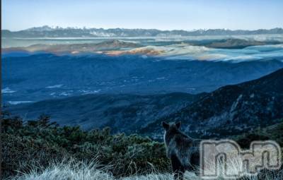 上越デリヘル 上越風俗出張アロママッサージ(ジョウエツフウゾクシュッチョウアロママッサージ) マリ★(34)の2月2日写メブログ「2/2御礼と雑記(たまの趣味)」