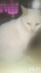 長岡デリヘル長岡市総合デリヘル COLOR～デリヘル・手コキ・密着エステ～(ナガオカシソウゴウデリヘルカラー) ちひろ☆☆(38)の2月26日写メブログ「さぶいよ～」