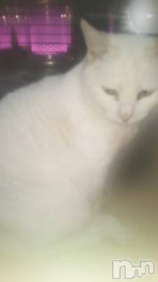 長岡デリヘル 長岡市総合デリヘル COLOR～デリヘル・手コキ・密着エステ～(ナガオカシソウゴウデリヘルカラー) ちひろ☆☆(38)の2月26日写メブログ「さぶいよ～」