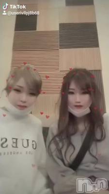 ȵסTikTok