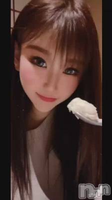 졪