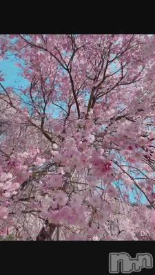 ޤäƤ🌸ä💖