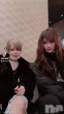ĶȽTikTok