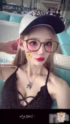 ���������Ԥ�����