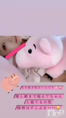 🐷
