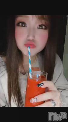 ȥޥȥ塼🍅