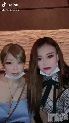 ⤢TikTok