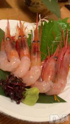 ťӤ󤿤🦐