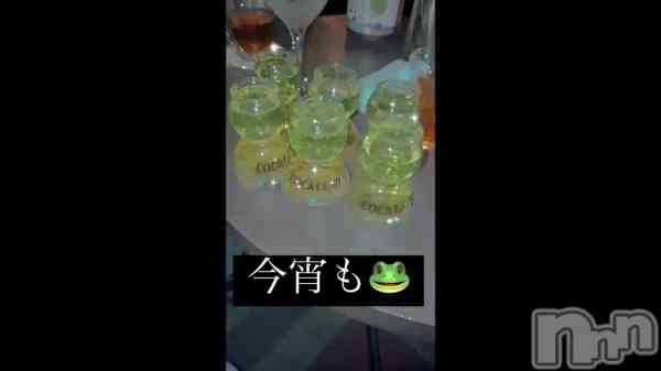 ֤&#x1F438;