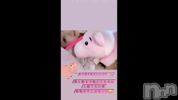 ֤&#x1F437;
