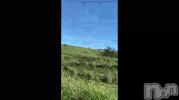 &#x1F403;&#x1F402;&#x1F404;