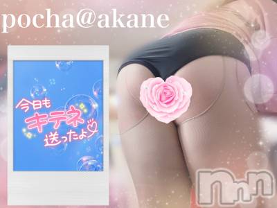 松本発ぽっちゃり ぽっちゃりお姉さん専門　ポチャ女子(ポッチャリオネエサンセンモンポチャジョシ) あかねお姉さん(30)の8月30日写メブログ「シコシコ♡」