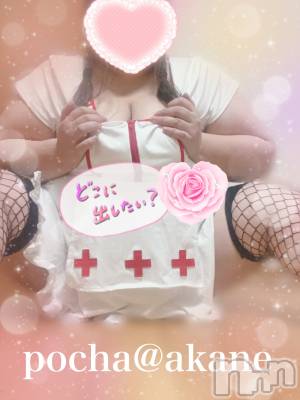 松本発ぽっちゃり ぽっちゃりお姉さん専門　ポチャ女子(ポッチャリオネエサンセンモンポチャジョシ) あかねお姉さん(30)の11月20日写メブログ「裸になってもらえますか…？♡」