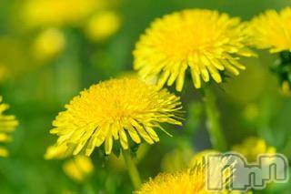 長岡デリヘル長岡風俗出張アロママッサージ(ナガオカフウゾクシュッチョウアロママッサージ)かなた(40)の2023年3月20日写メブログ「天気いいー」