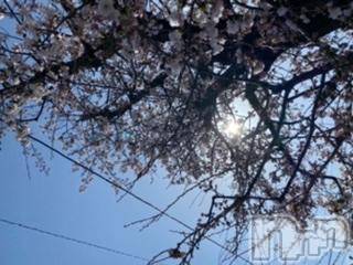 長岡デリヘル 長岡風俗出張アロママッサージ(ナガオカフウゾクシュッチョウアロママッサージ) かなた(40)の3月30日写メブログ「おはようございます」