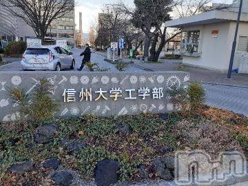 長岡デリヘル長岡風俗出張アロママッサージ(ナガオカフウゾクシュッチョウアロママッサージ)さくら(36)の2020年1月31日写メブログ「キャンパスwalkは好きですか」