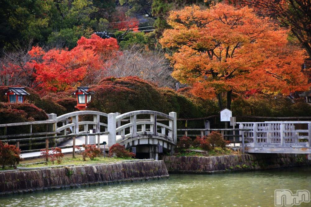 長岡風俗エステ長岡風俗出張アロママッサージ(ナガオカフウゾクシュッチョウアロママッサージ) ゆかり☆ピュアな美熟女(48)の10月12日写メブログ「好きなことは、♪」